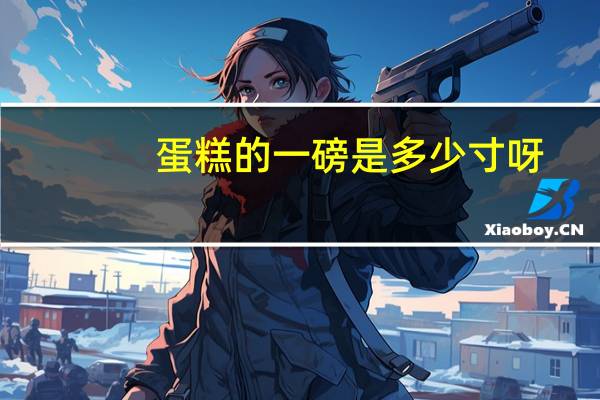 蛋糕的一磅是多少寸呀