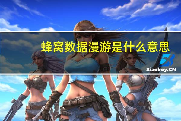 蜂窝数据漫游是什么意思（数据漫游是什么意思）