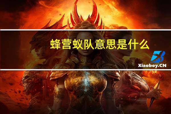 蜂营蚁队意思是什么