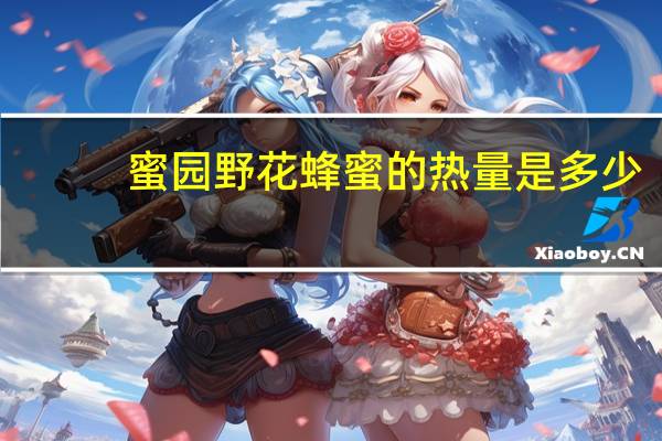 蜜园 野花蜂蜜的热量是多少