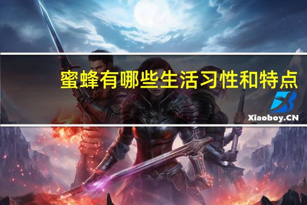 蜜蜂有哪些生活习性和特点