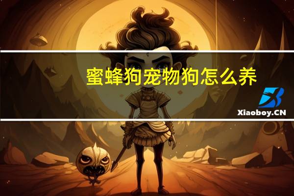 蜜蜂狗宠物狗怎么养
