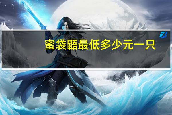 蜜袋鼯最低多少元一只