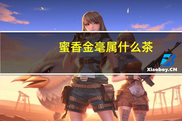 蜜香金毫属什么茶