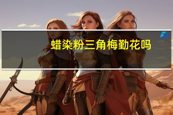 蜡染粉三角梅勤花吗