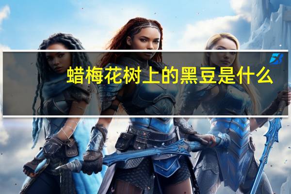 蜡梅花树上的黑豆是什么
