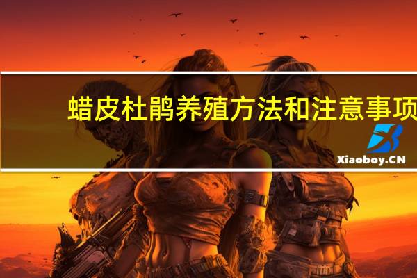 蜡皮杜鹃养殖方法和注意事项
