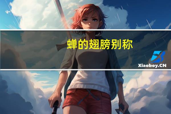 蝉的翅膀别称