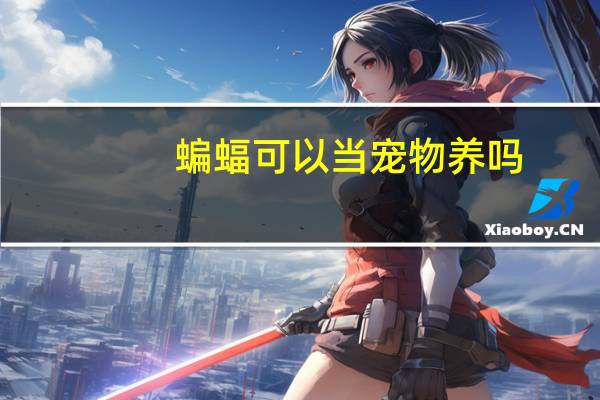 蝙蝠可以当宠物养吗