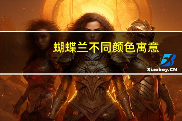 蝴蝶兰不同颜色寓意