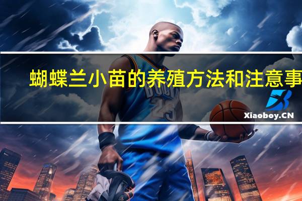 蝴蝶兰小苗的养殖方法和注意事项