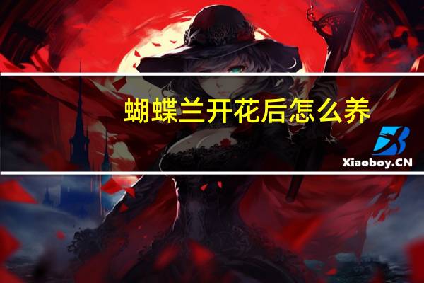 蝴蝶兰开花后怎么养