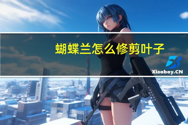 蝴蝶兰怎么修剪叶子