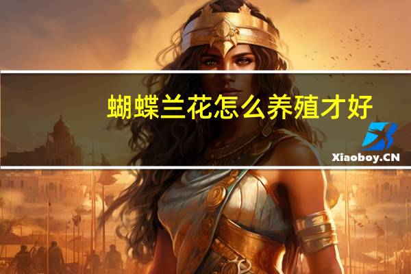 蝴蝶兰花怎么养殖才好