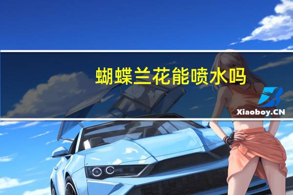 蝴蝶兰花能喷水吗