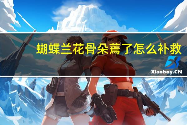 蝴蝶兰花骨朵蔫了怎么补救