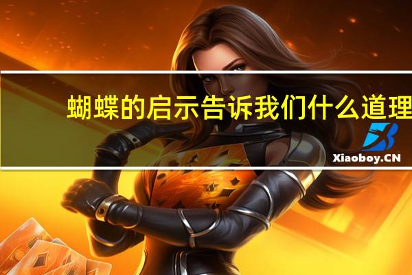 蝴蝶的启示告诉我们什么道理