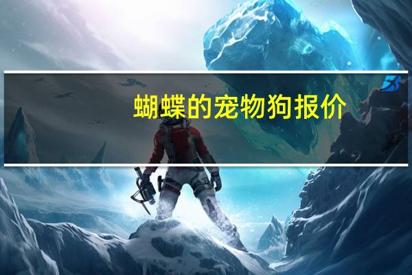 蝴蝶的宠物狗报价
