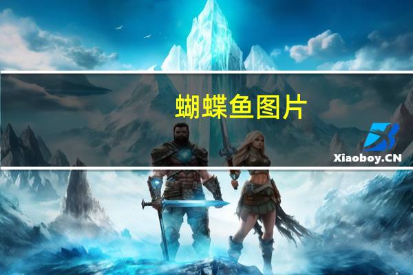 蝴蝶鱼图片（蝴蝶鱼）