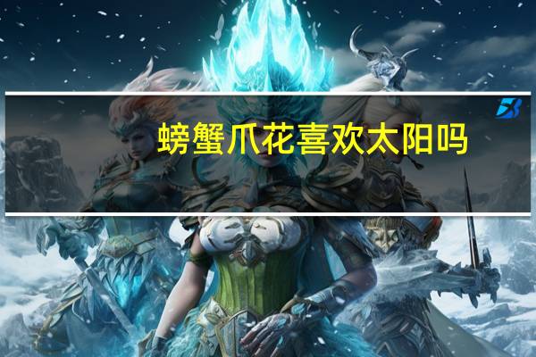 螃蟹爪花喜欢太阳吗