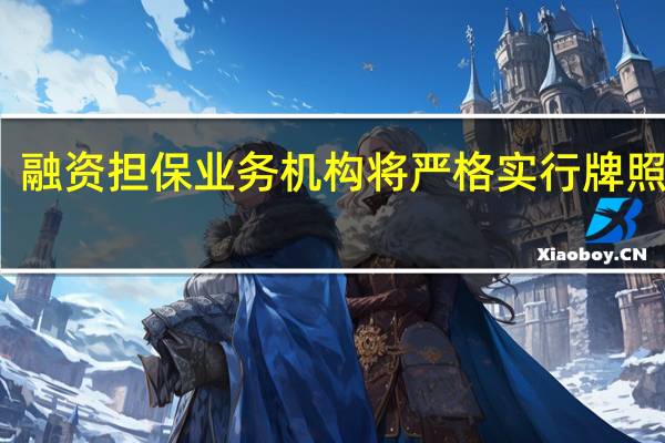 融资担保业务机构将严格实行牌照管理