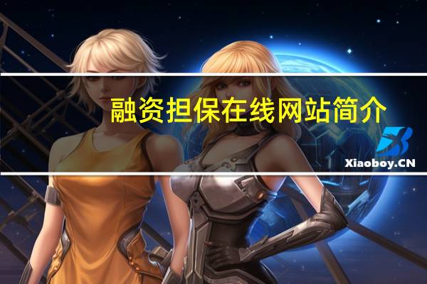 融资担保在线网站简介