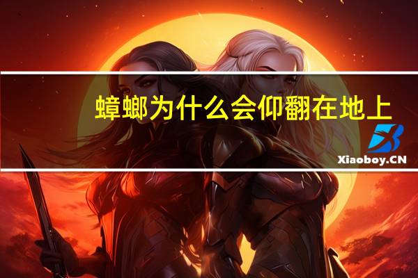 蟑螂为什么会仰翻在地上