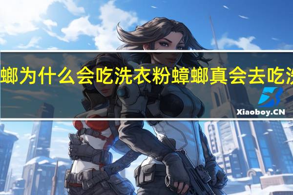 蟑螂为什么会吃洗衣粉 蟑螂真会去吃洗衣粉吗