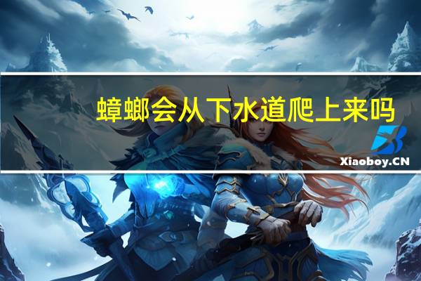 蟑螂会从下水道爬上来吗