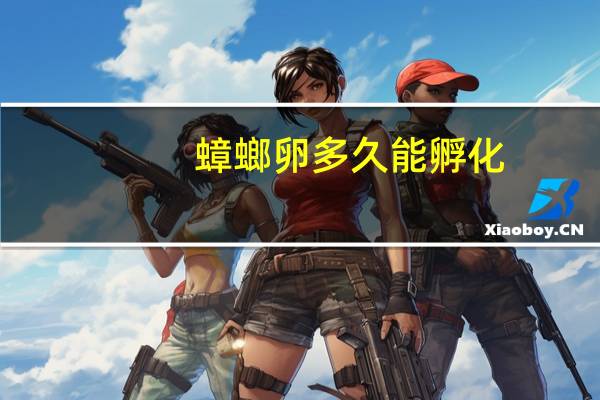 蟑螂卵多久能孵化（蟑螂卵多久孵化）