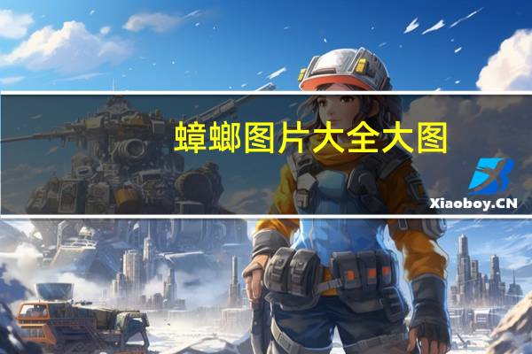 蟑螂图片大全大图（蟑螂的图片）