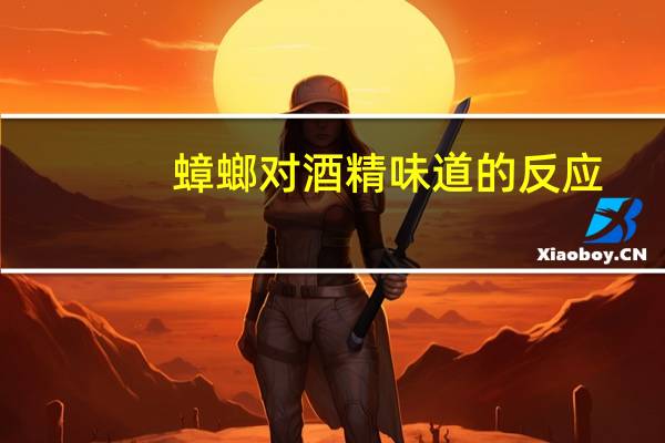 蟑螂对酒精味道的反应