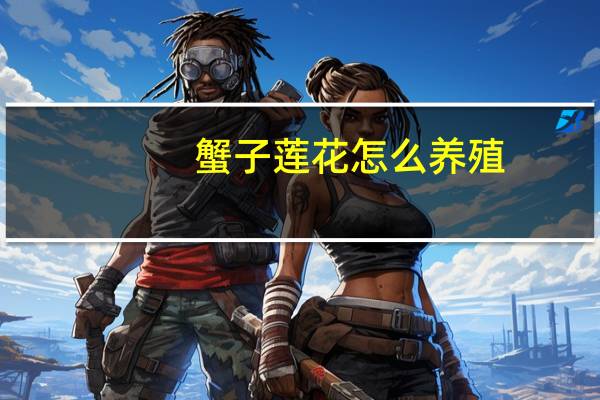 蟹子莲花怎么养殖