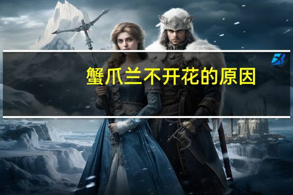 蟹爪兰不开花的原因