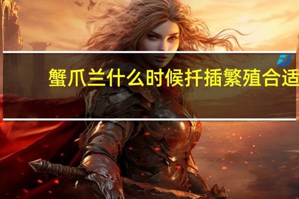 蟹爪兰什么时候扦插繁殖合适