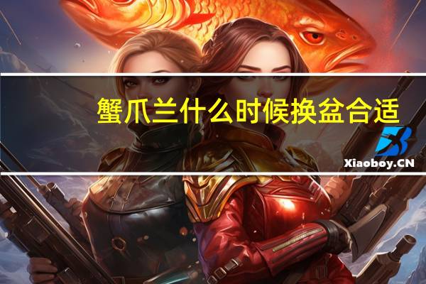 蟹爪兰什么时候换盆合适