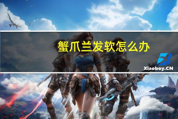 蟹爪兰发软怎么办