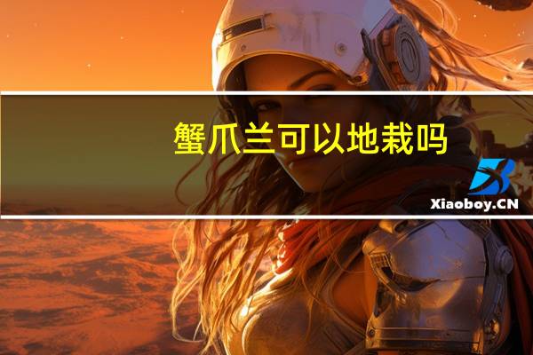 蟹爪兰可以地栽吗