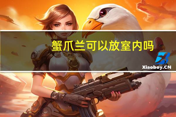 蟹爪兰可以放室内吗