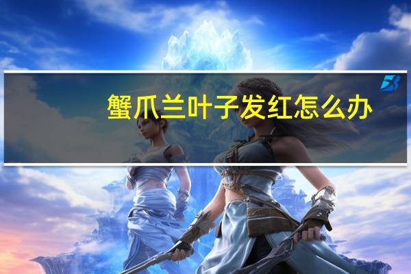 蟹爪兰叶子发红怎么办
