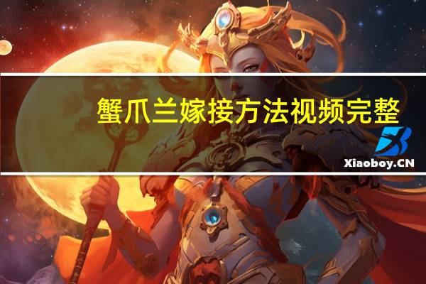 蟹爪兰嫁接方法视频完整（蟹爪兰嫁接方法视频）