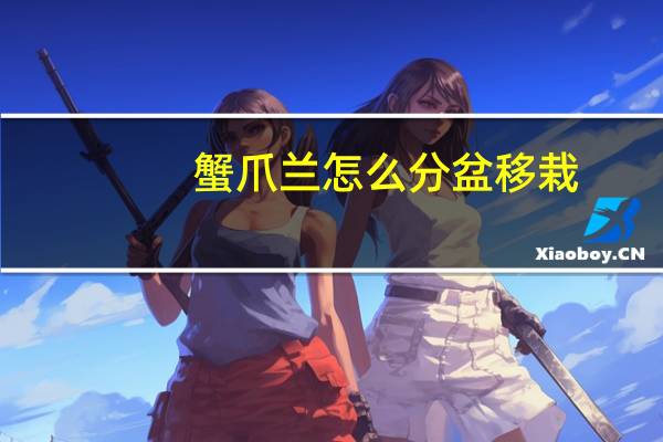蟹爪兰怎么分盆移栽