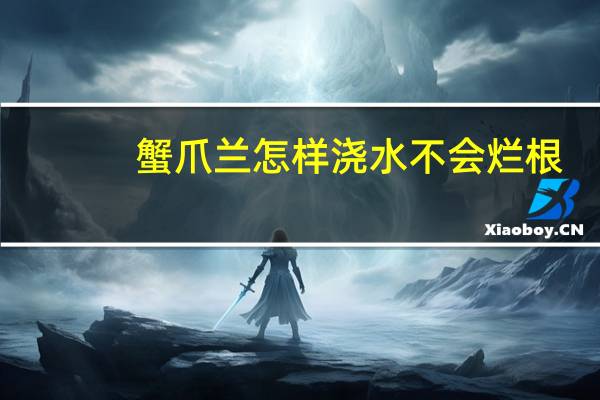蟹爪兰怎样浇水不会烂根
