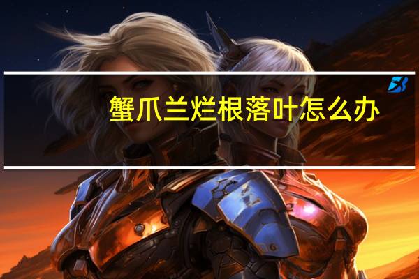 蟹爪兰烂根落叶怎么办