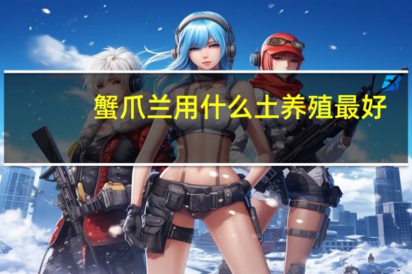 蟹爪兰用什么土养殖最好
