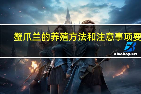 蟹爪兰的养殖方法和注意事项要点