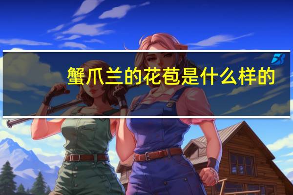 蟹爪兰的花苞是什么样的