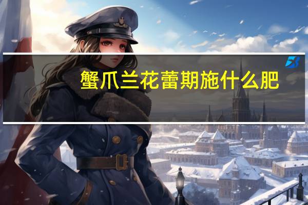 蟹爪兰花蕾期施什么肥