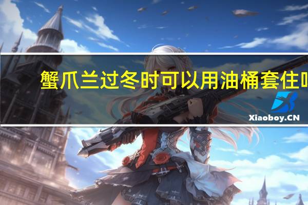 蟹爪兰过冬时可以用油桶套住吗