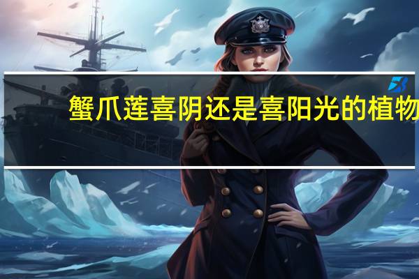 蟹爪莲喜阴还是喜阳光的植物